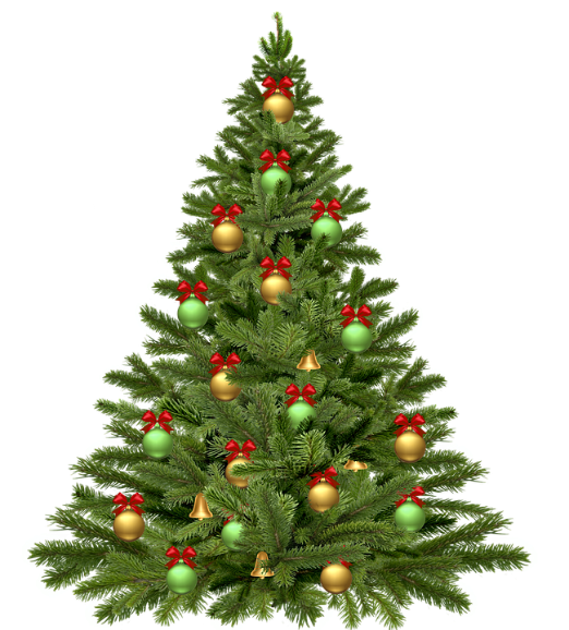 božično drevo.png